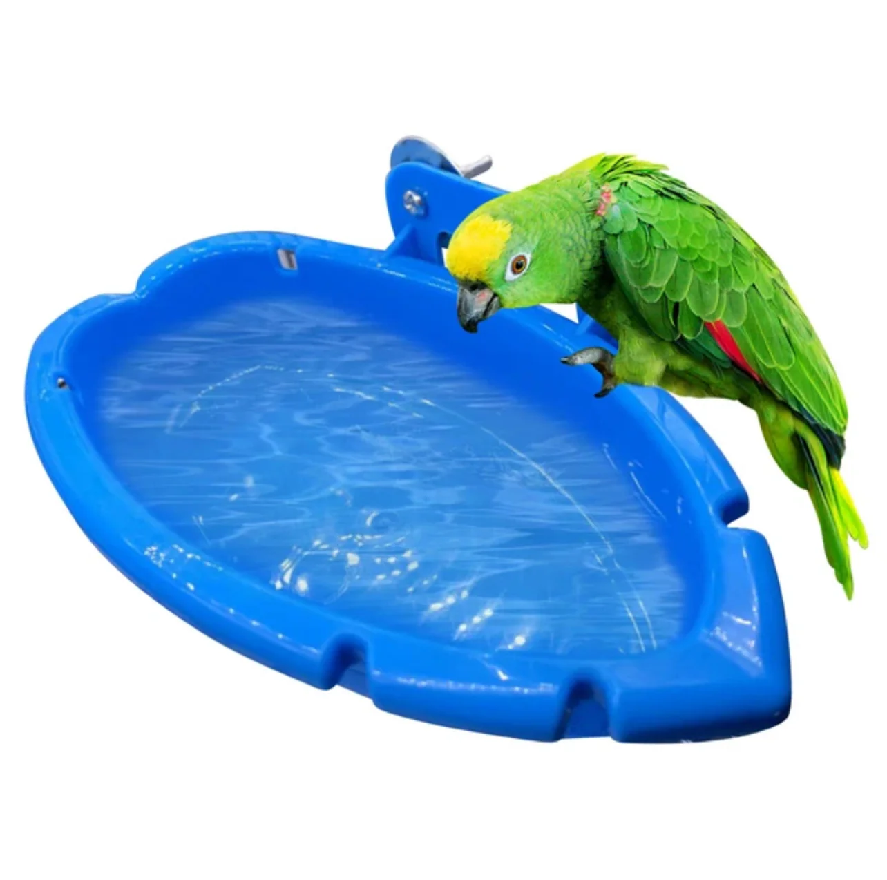 Bird Bathtub Bird Cages for Parakeets Bird Food Feeder Toy Parrot Toy Bathtub Wild Bird Feeder Bird Tray Plastic Hummingbird feeders Parrot Bath Supplies Small Bathtub Birds