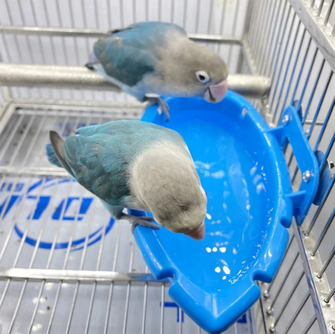 Bird Bathtub Bird Cages for Parakeets Bird Food Feeder Toy Parrot Toy Bathtub Wild Bird Feeder Bird Tray Plastic Hummingbird feeders Parrot Bath Supplies Small Bathtub Birds - Image 2