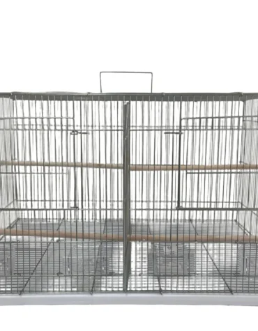 Tropical Bird Cage with Partition