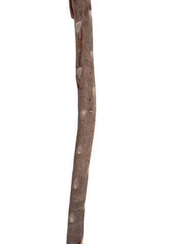 Guava Wood Stick 1 meter